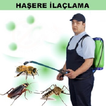 Bornova Böcek İlaçlama